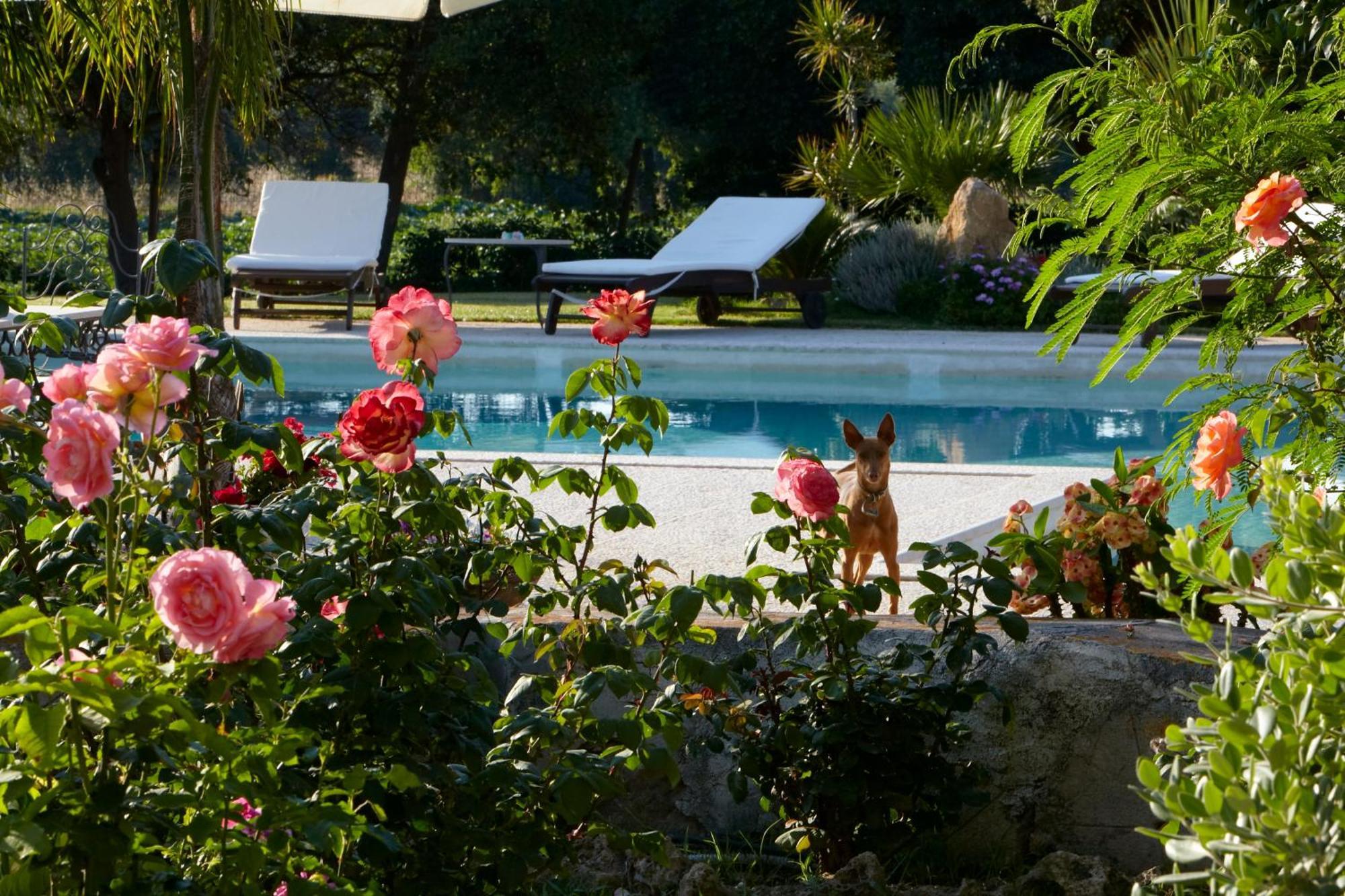 Baglio Sant'Andrea Bed and Breakfast Valderice Εξωτερικό φωτογραφία